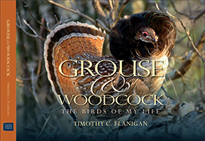 Grouse And Woodcock The Birds Of My Life by Timothy C. Flanigan